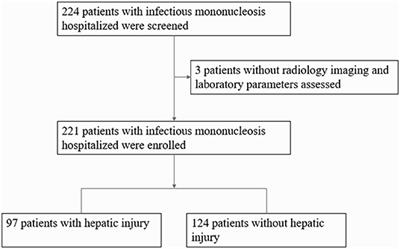 Clinical Characteristics and the Risk Factors of Hepatic Injury in 221 Children With Infectious Mononucleosis